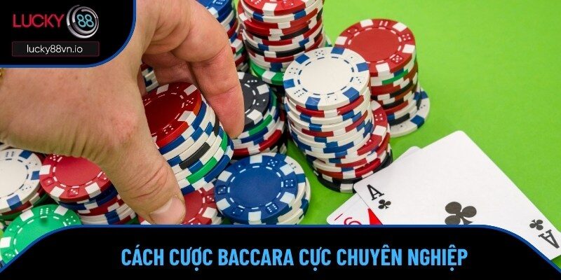 Cách Chơi Baccarat Cực Hiệu Quả Cho Dân Không Chuyên Hai bước thực hiện khi vào vòng cược Baccarat tại nhà cái
