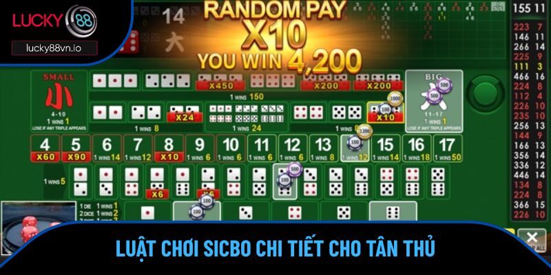 Luật chơi sicbo và các kiểu cược thông dụng 