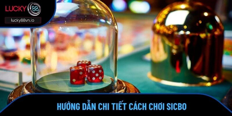 Tài Xỉu Lucky88 Cách chơi tài xỉu cơ bản