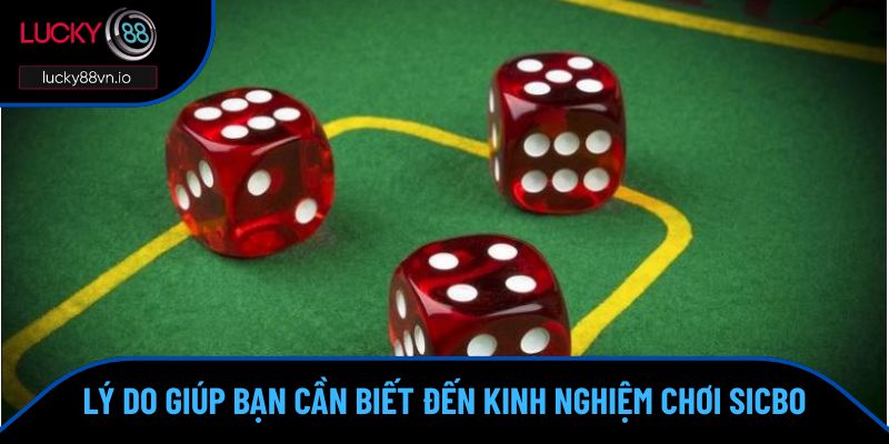 Kinh Nghiệm Chơi Sicbo - Chiến Thuật Thông Minh Cần Biết Lý do giúp bạn cần phải biết đến kinh nghiệm chơi sicbo