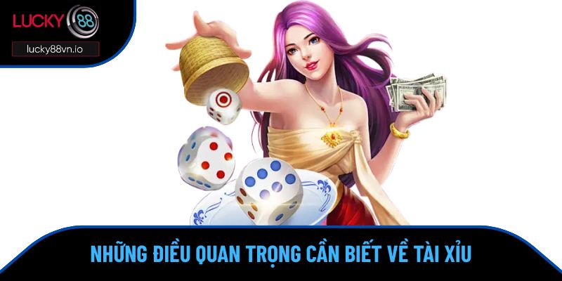 Những điều quan trọng cần biết về tài xỉu