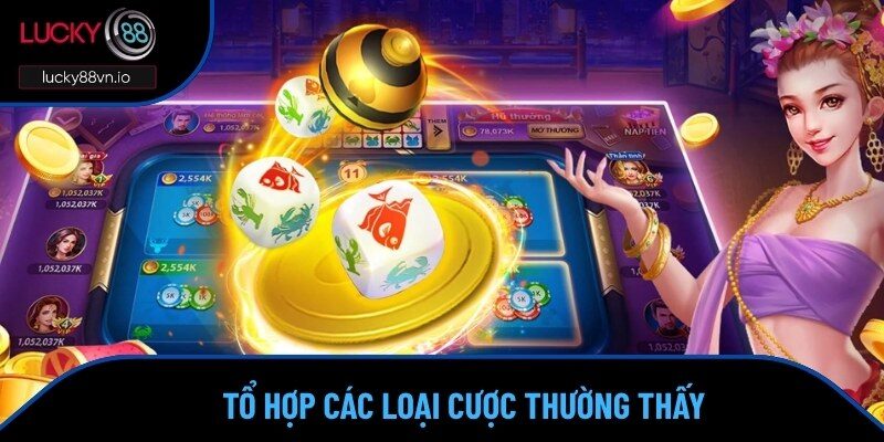 Lucky88 Chia Sẻ Cách Chơi Xóc Đĩa Rinh Thưởng Khủng Về Túi Các thể loại cược thường thấy khi lắc dĩa